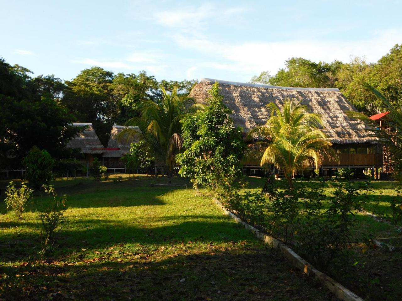 Intillama Jungle Lodge Eirl Paucarpata  Exterior foto